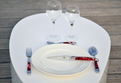 Ausverkauft: 1 Messer, 1 Gabel, 1 Esslöffel und 1 Kaffeelöffel - Set, Rosenblüten in Acryl, Mitres in Inox
