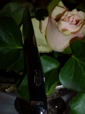12 cm Taschenmesser in Ebenholz glänzend