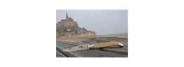 Neu:Set  mit 6 Tafelmesser, 2 Edelstahl-Backen, Mont-Saint-Michel Sandgriff, matt lackiert.