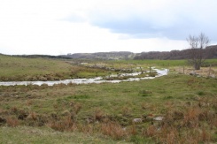 Die Landschaft von Laguiole